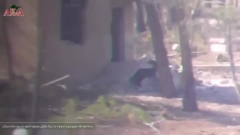 Работа снайперов ссо в сирии