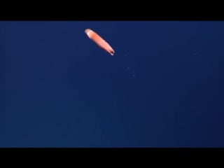 Dumbo octopus exploring puerto rico’s seamounts, trenches, and troughs 2015