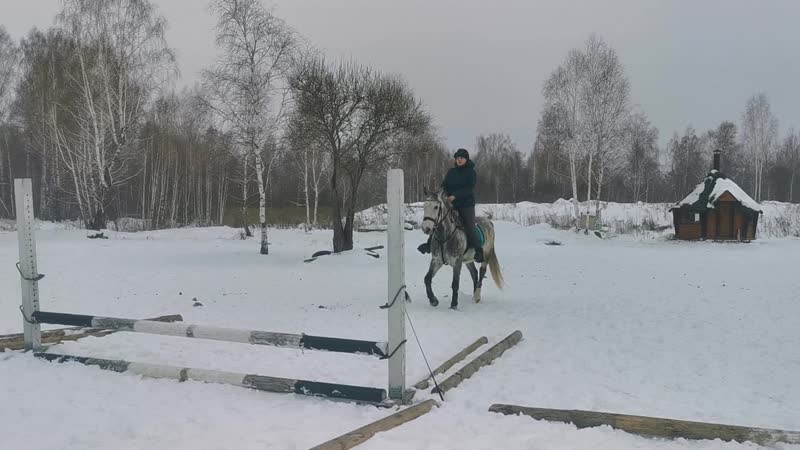 Горькоа, грохот прыгает, релакс прогулка с грохотом и лаской