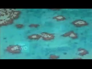 Bbc tropic of capricorn 1 of 4