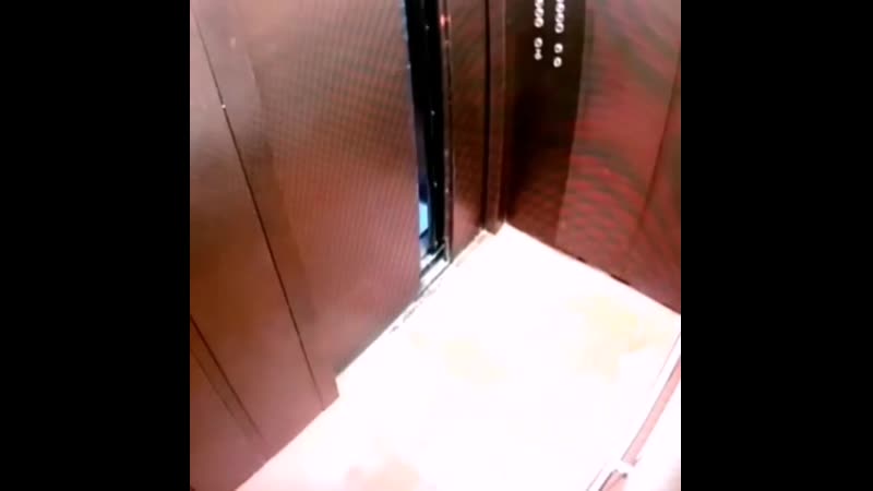 Тюменская молодежь справляет нужду прямо в подъезде