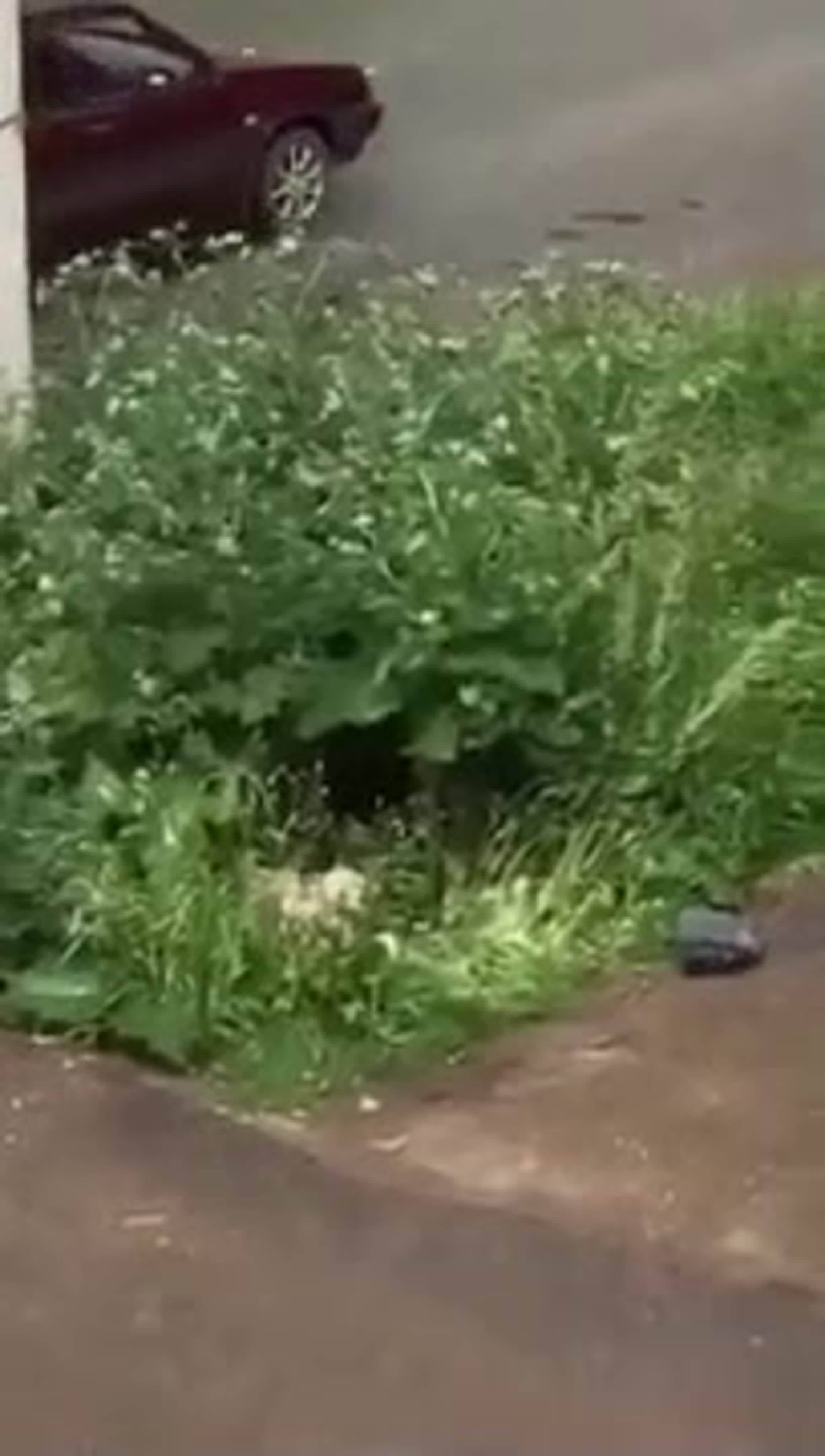 тётю иру ебут Читать Бомжиха. Часть 10: страница 3 (#30143) - Стульчик