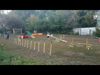 А2 (2) дробышева оксана и папийон плюша