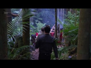 I'm a celebrity get me out of here 15x15