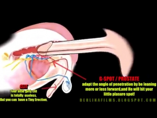 Точка g у мужчин как стимулируется простата при анальном сексе
