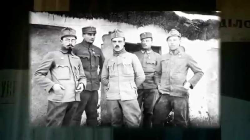 Дмитро вітовський