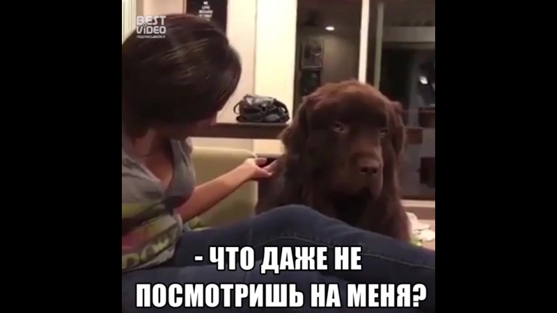 Обиделся