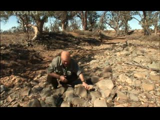 Наука выживать (survivorman) 3 сезон 5 серия необжитая автралия #впбп #jivoy