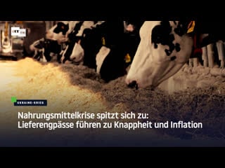 Nahrungsmittelkrise spitzt sich zu lieferengpässe führen zu knappheit und inflation