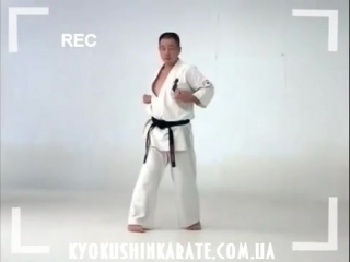 Sushiho kata kyokushin karate