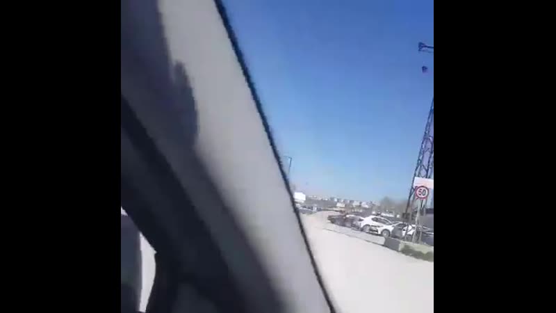 Молодые несколько километров несла еду