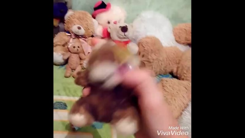 Моя колекция моих "мишек"