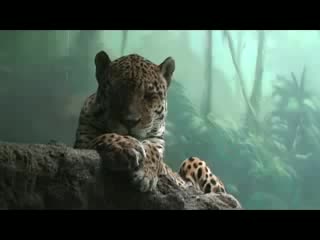 Ягуар in moscow porn by juls