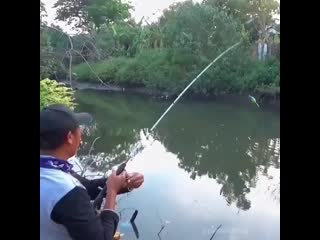 Rybolovnyj mir biysk b cqwz6j59k mp4