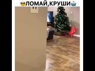 Весёлый пёсель