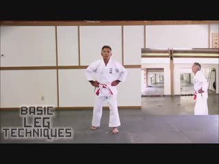 Isshinryu karate kata master tsuyoshi uechi basic leg techniques