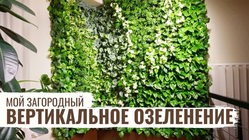 Вертикальное озеленение / мой загородный / #37