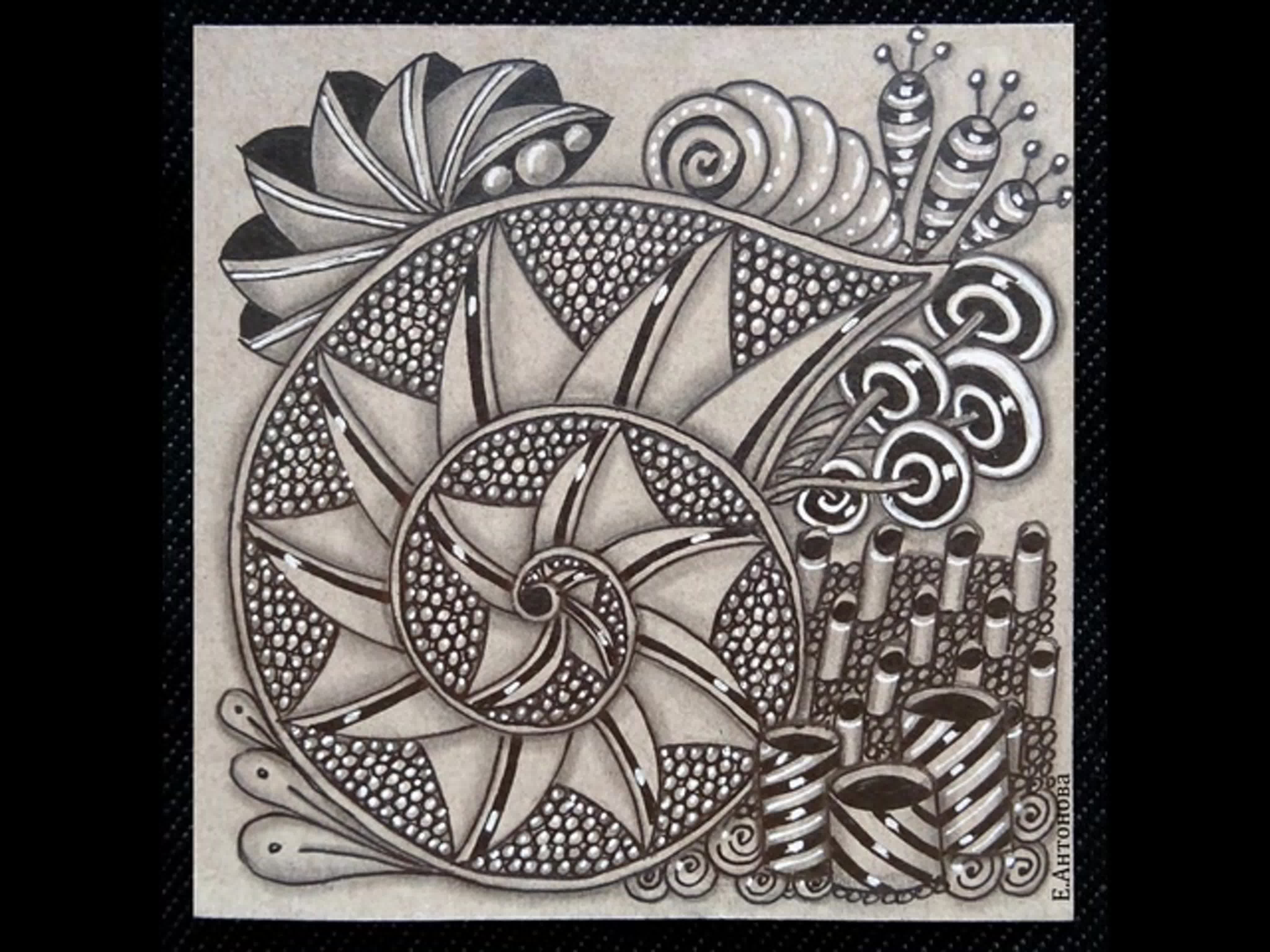 Зентангл 28 ракушки рисунки елены антоновой  #зентангл#zentangle#дудлинг#рисовалки#рисуем каждый день#хобби#учусь  рисовать - BEST XXX TUBE