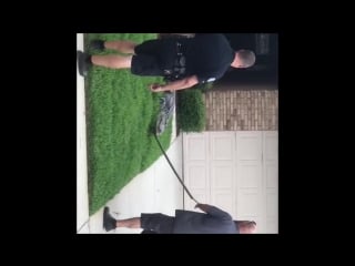 Big gator knocks fwc trapper out cold