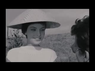 Do widzenia, do jutra