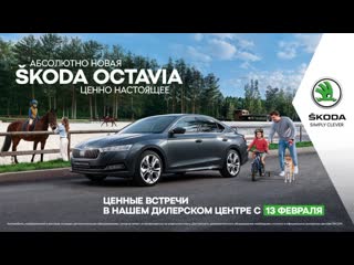 Škoda octavia ценно настоящее