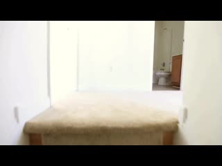 Renovated ready large affordable richmond home for sale 4 br