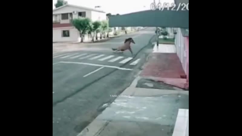 Тормозной путь