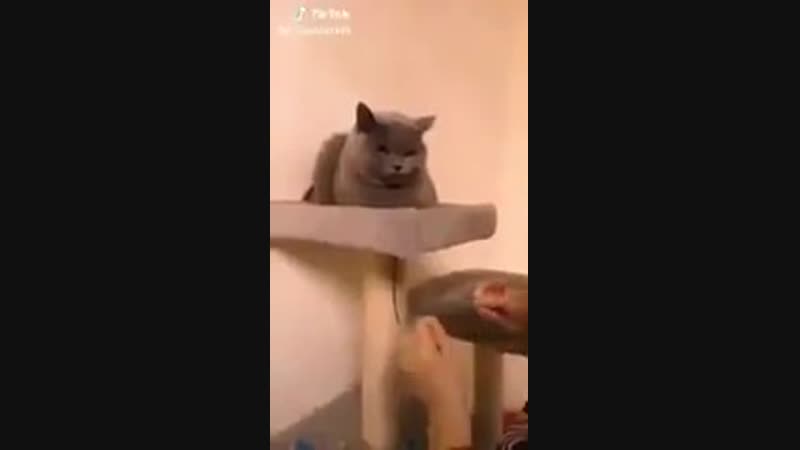 Жмыхнуло пздц