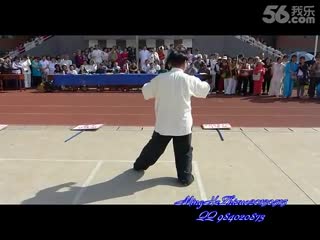 Yang shi taijiquan 85 shi (back) master zhao youbin (赵幼斌)