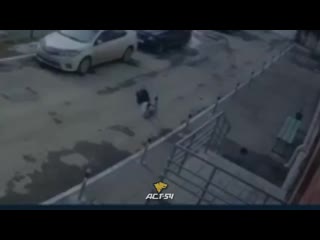Солевой пловец 480 mp4