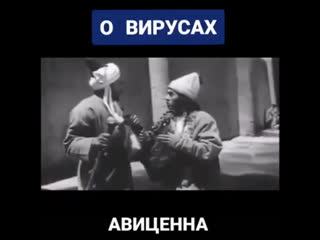 О вирусах