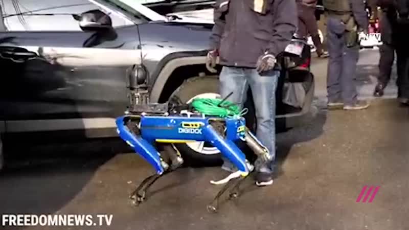 Полиция нью йорка взяла на службу робота пса от boston dynamics