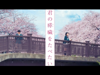 Фильм я хочу съесть твою поджелудочную | i want to eat your pancreas | kimi no suizo wo tabetai