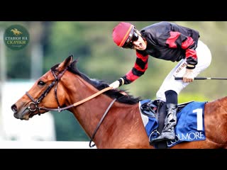 'jannah rose' осталась непобеждённой в prix saint alary