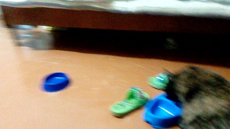 Я читаю доче стишки и заодно снимаю кис 13 05 17