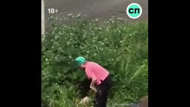 Тётя ира предотвратила разврат