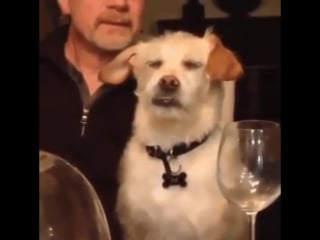 Mrw my coworkers with different political views start their thousandth discussion