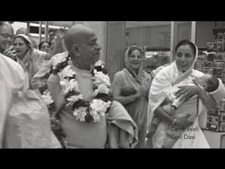 Srila prabhupada's shower of mercy