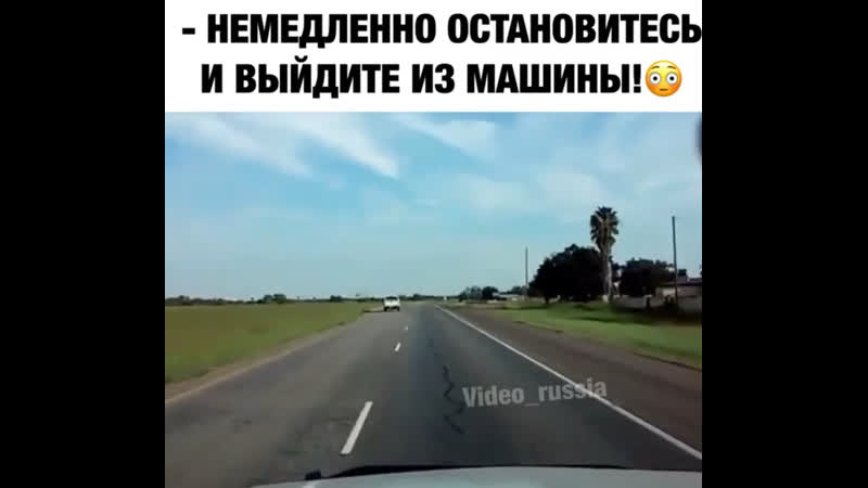 Обычная мексиканская семья выехала на пикник 🧺