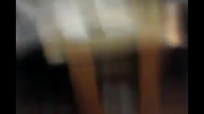 Сборище унтерменшей и шлюх