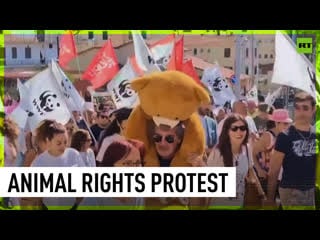 Italians furious over porn of endangered brown bear