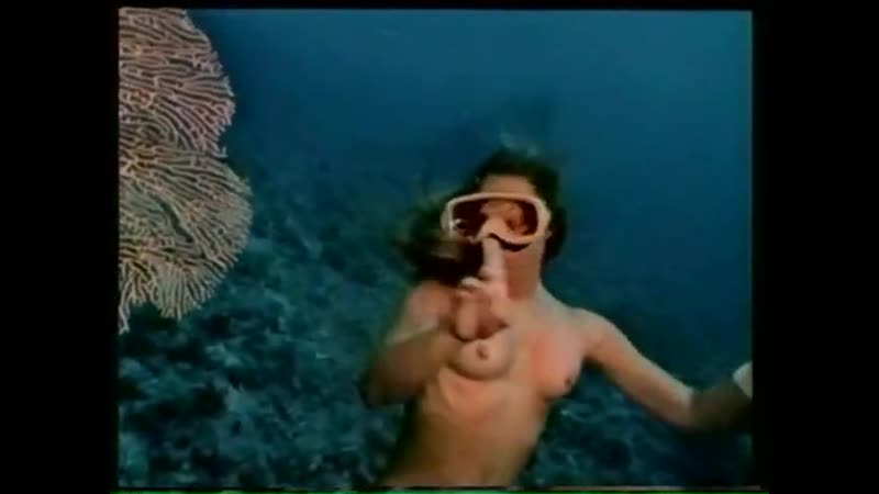 (18+) бруно с муренами из фильма опасность в глубине