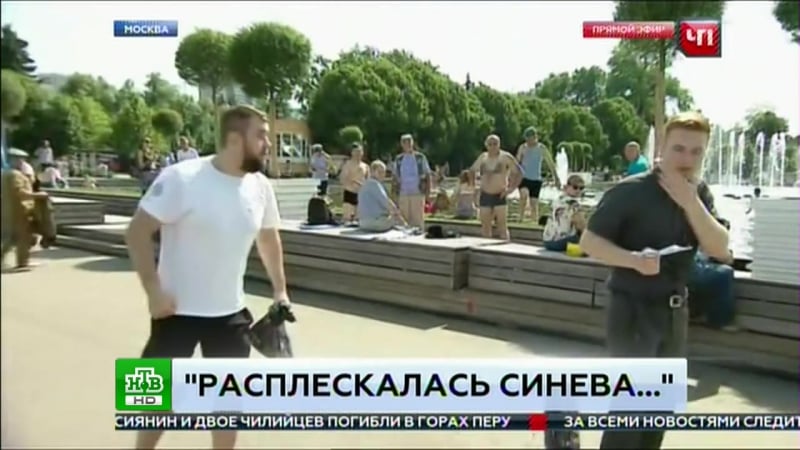 Быдло вдвшник ударил журналиста нтв в прямом эфире уличные драки ru