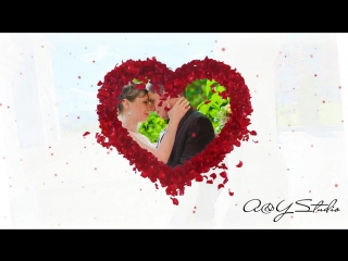 Wed videobook 1565 hd