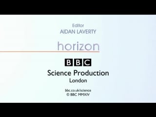 Documental bbc grasa vs azúcar (fat vs sugar)