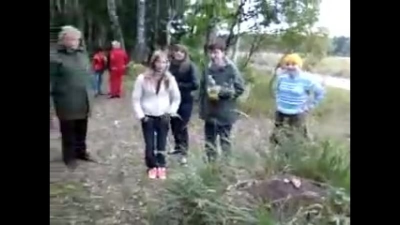 Пиздой в муравейник порно видео