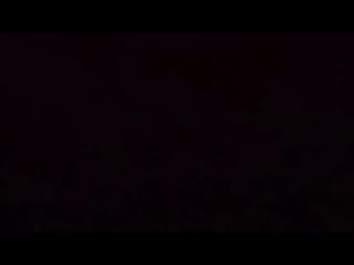 Ебутся коты