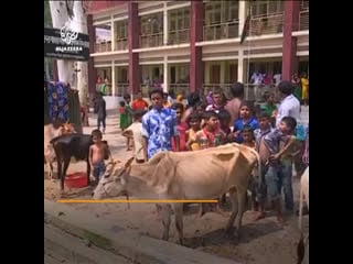 Bangladesh’s capital dhaka has a high rate of porn abandoning studies due to overwhelming poverty