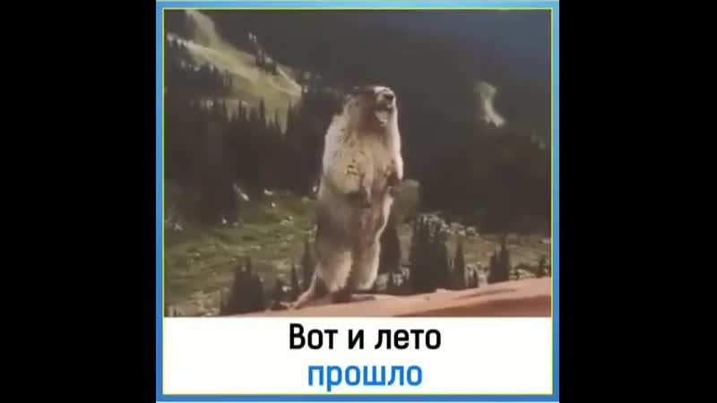 Не шуфутинским единым 👌😄