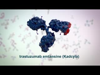 Therapeutic antibodies (part 3) antibody porn conjugates